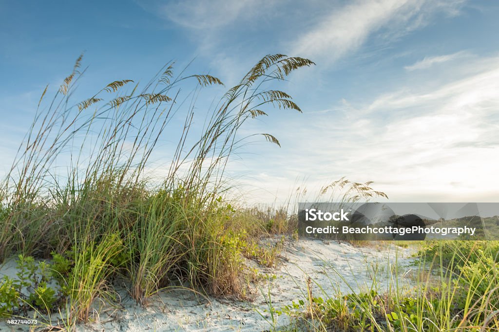 Crepuscolo Dune percorso - Foto stock royalty-free di Spiaggia