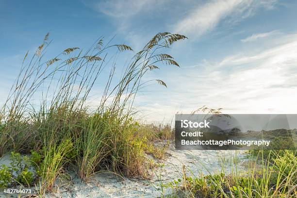 Crepuscolo Dune Percorso - Fotografie stock e altre immagini di Spiaggia - Spiaggia, Costa - Caratteristica costiera, Florida - Stati Uniti