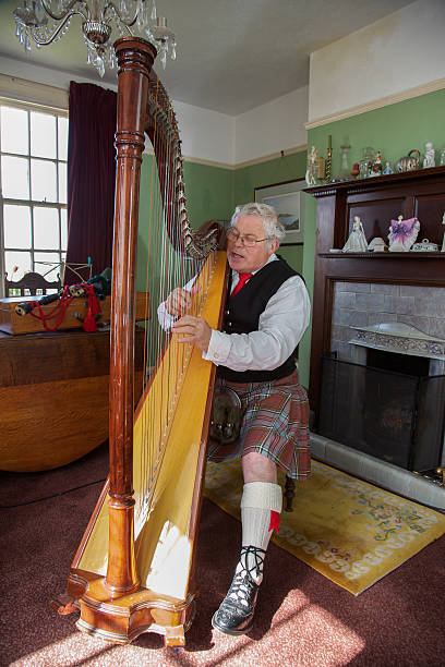 harpist desempeña en un ambiente tradicional de hogar - scottish music fotografías e imágenes de stock
