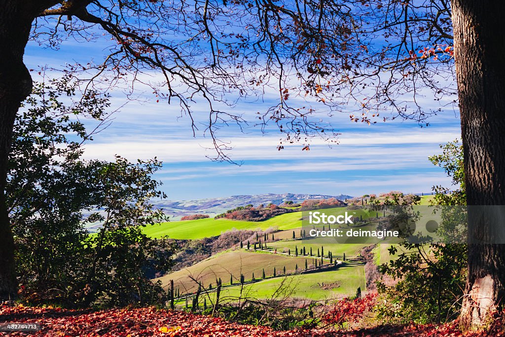 Paesaggio della Toscana i campi - Foto stock royalty-free di Alberato