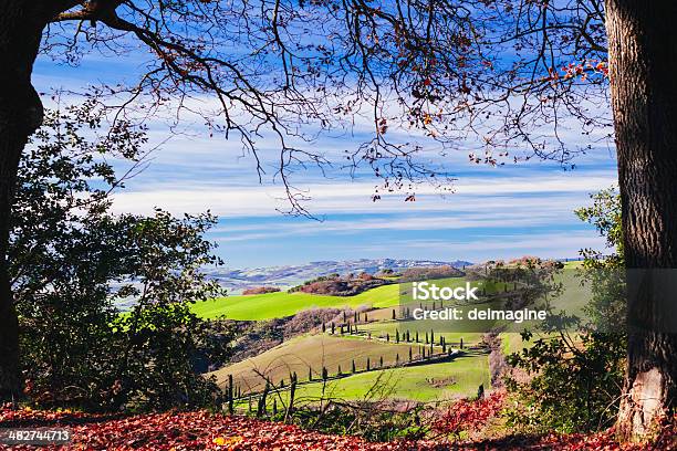 Paesaggio Della Toscana I Campi - Fotografie stock e altre immagini di Alberato - Alberato, Albero, Ambientazione esterna