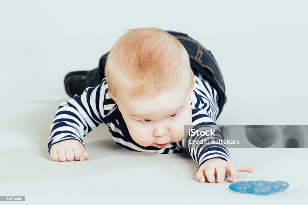Baby chłopiec - Zbiór zdjęć royalty-free (6 - 11 miesięcy)