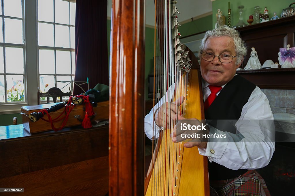 Harpist 있어 기존의 홈화면 설정 - 로열티 프리 웨일스 스톡 사진