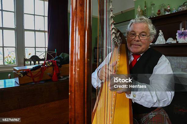 Harpist 있어 기존의 홈화면 설정 웨일스에 대한 스톡 사진 및 기타 이미지 - 웨일스, 웨일스 문화, 하프