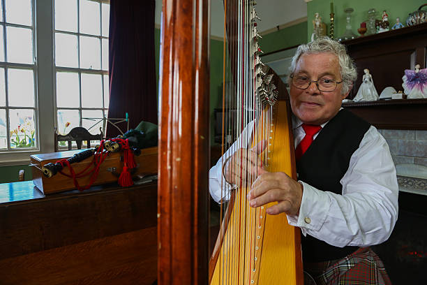 istock Harpist plays in a traditional home setting 482746967