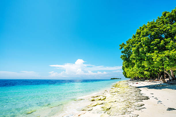 istock landscape of beach 482747377