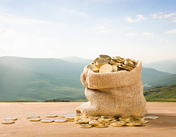 sack full of gold euro coins in outdoor setting Sack full of golden Euro coins in an idylic natural background bag of coins stock pictures, royalty-free photos & images