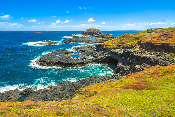 istock The Nobbies Phillip Island 482749074