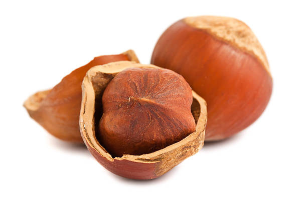 熟した hazelnuts - walnut pod nutshell cross section ストックフォトと画像