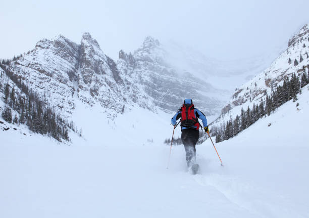 istock Skier blazing fresh track towards mountains 482753481