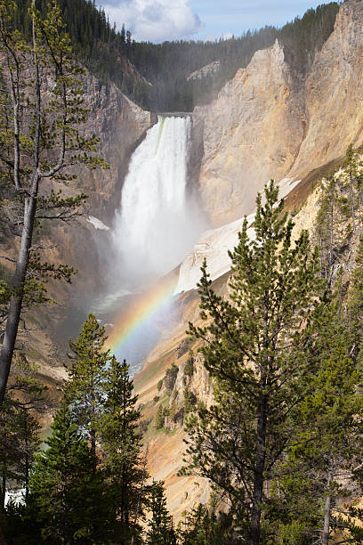 Yellowstone Falls and Rainbow stock photo