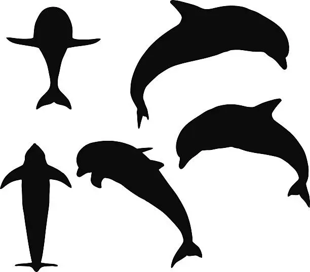 Vector illustration of dolphin silhouette isolated