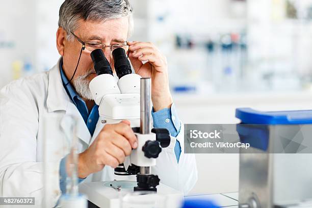 Senior Male Researcher Carrying Out Scientific Research In A Lab Stock Photo - Download Image Now