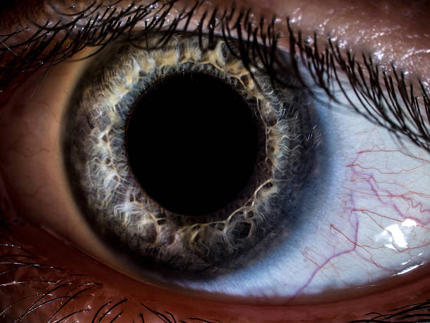 Macro close-up shot of human eye An extreme close-up shot of a green-grey human eye. Blood vessels are visible as well as pupil dilatation. dilation stock pictures, royalty-free photos & images