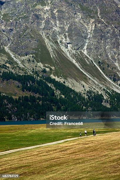Camminare Nella Natura Intorno Al Lago Sils - Fotografie stock e altre immagini di Alpi