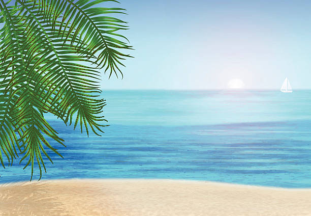istock The sea, palm trees and tropical beach under blue sky. 482763164