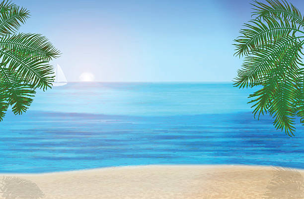 istock The sea, palm trees and tropical beach under blue sky. 482763166