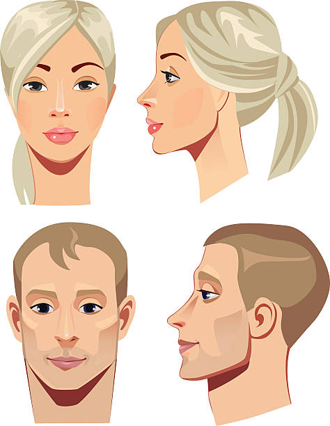 portrait of men and women in straight and profile vector art illustration