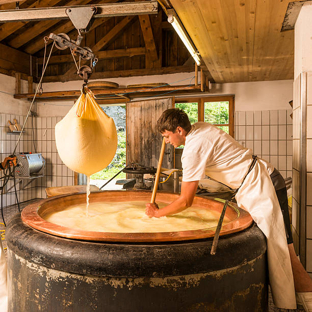 dairyman wytwarzania sera na alpine dairy - cheese making zdjęcia i obrazy z banku zdjęć