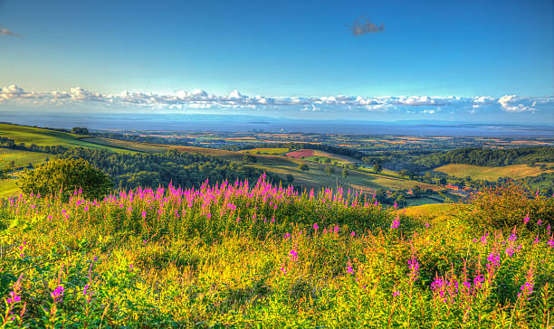 istock View from Quantock Hills Somerset towards Hinkley Point summer HDR 482763884