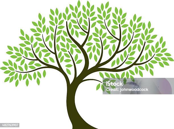 Vector Illustration Of Tree On White Background Stock Illustration - Download Image Now - Tree, Branch - Plant Part, Leaf