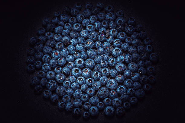 Wet blueberries on black slate