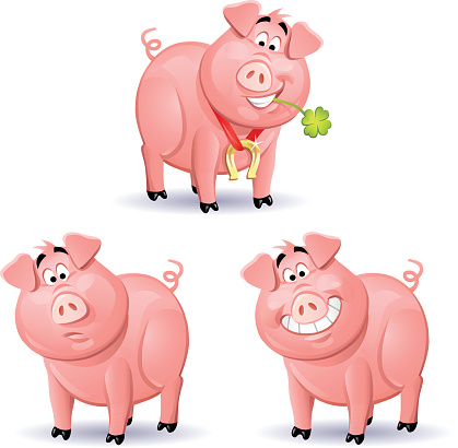 Three pigs isolated on white. A pig with a four leaf clover in its mouth, a pig with a puzzled face and a smiling pig. EPS 8, fully editable, grouped and labeled in layers.