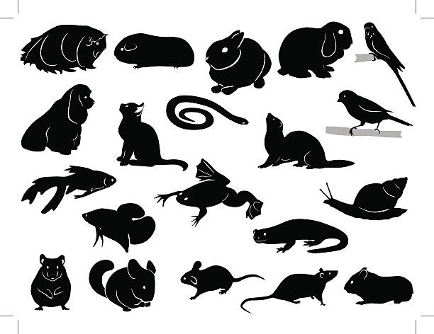 illustrations, cliparts, dessins animés et icônes de silhouettes animaux domestiques - rat race