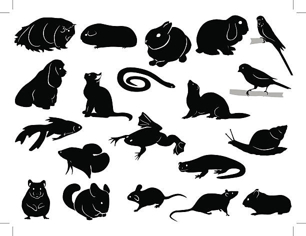 Domestic animals silhouettes AI, EPS, PDF, SVG, JPG files included. silhouette of hare stock illustrations