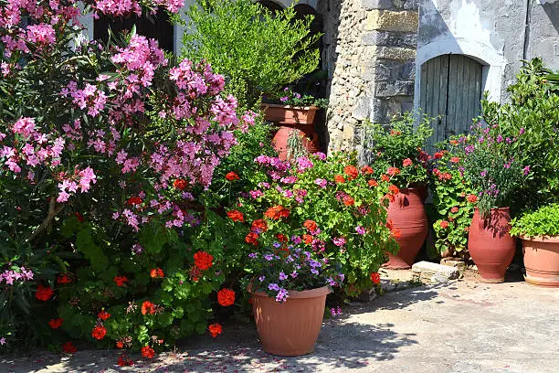 Plant pots with flowers and an oleander in Greece in Sissi on Crete.