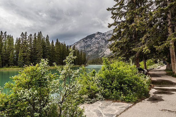 istock Fenland trail by the river in Banff 482769628