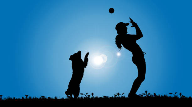 istock Vector silhouette of a woman with a dog. 482769650