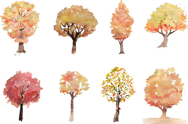 осеннее дерево collection - paintings watercolor painting landscape autumn stock illustrations