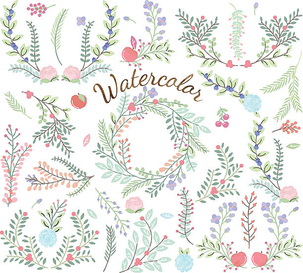 水彩画の花のベクトルコレクション - magnolia fruit sweet magnolia evergreen tree点のイラスト素材／クリップアート素材／マンガ素材／アイコン素材