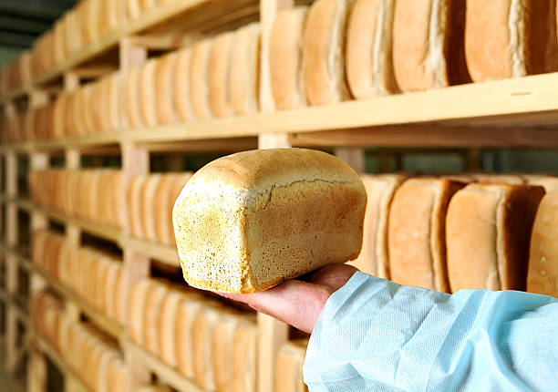 istock Bread in the man hands Bakery Stocks bread Manufacture of 482774280