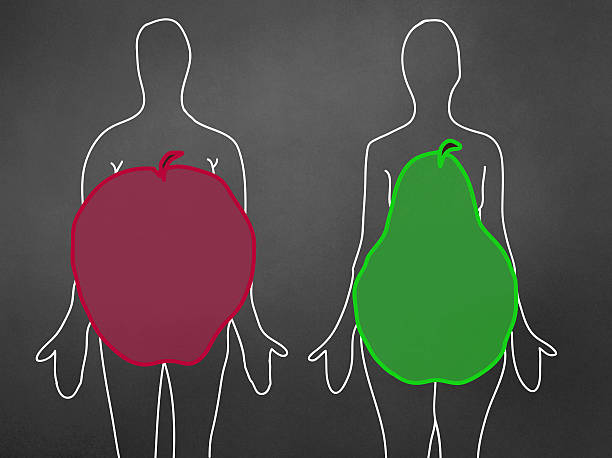 ilustraciones, imágenes clip art, dibujos animados e iconos de stock de cuerpo con forma de pera y manzana-concept - weight scale apple comparison balance