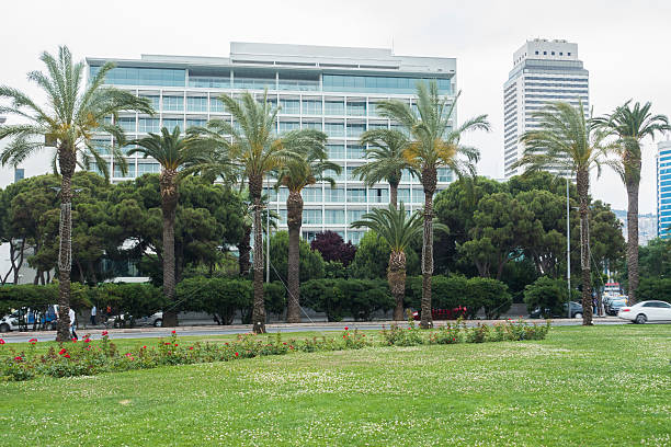 istock Green grass space with city background 482774368