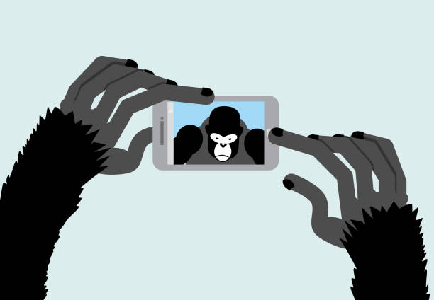 ilustraciones, imágenes clip art, dibujos animados e iconos de stock de autofoto monos. negro gorila fotografías. animal y smartphon - telephone chimpanzee monkey on the phone