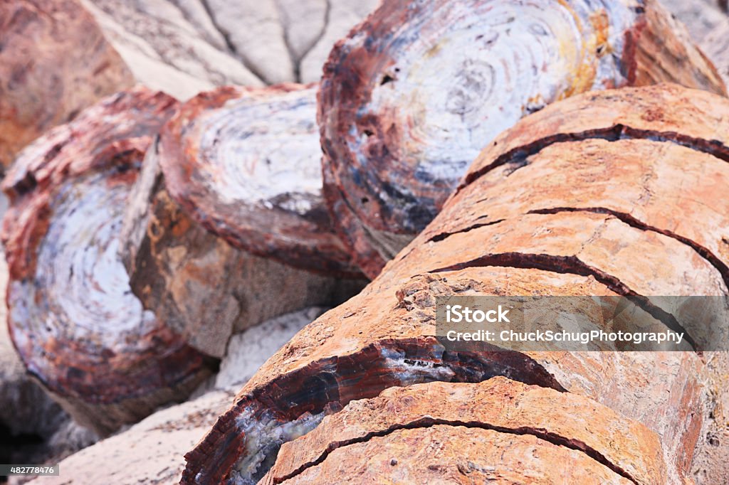 Petrified Wood Fossils Quartz Crystals Triassic petrified wood fossils, crystals, minerals and rock types in the Petrifed Forest National Park, Arizona, 2015. Arizona Stock Photo