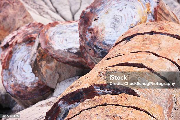 Petrified Wood Fossils Quartz Crystals Stock Photo - Download Image Now - Arizona, Painted Desert, 2015