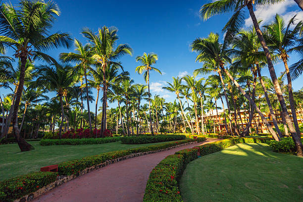 istock Pathway and tropical garden in beach resort, Punta Cana 482779112