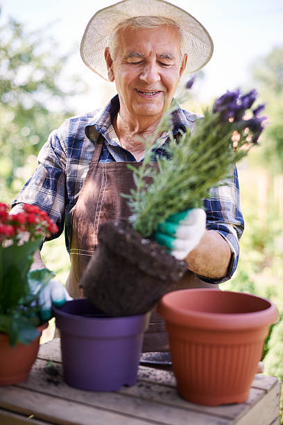 istock This is my job and my hobby 482779280