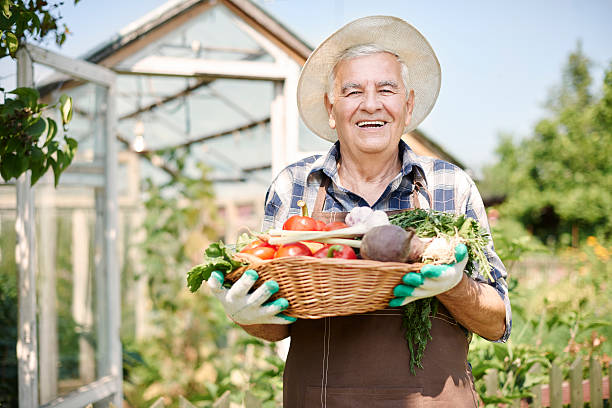 istock Who wanna try fresh vegetables from my garden? 482779282
