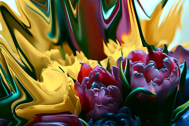 istock Pink and yellow tulips 482780024