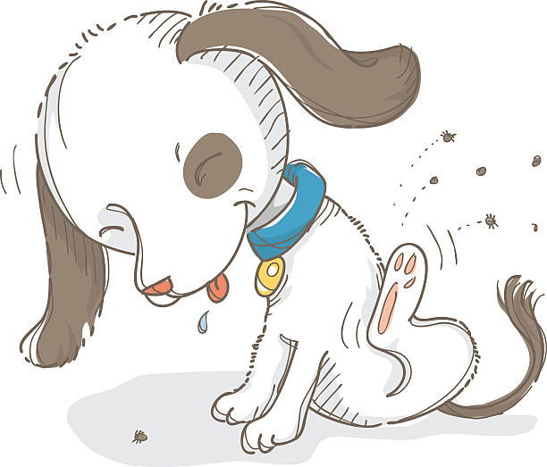 illustrazioni stock, clip art, cartoni animati e icone di tendenza di cane con prurito - tick dog flea pets