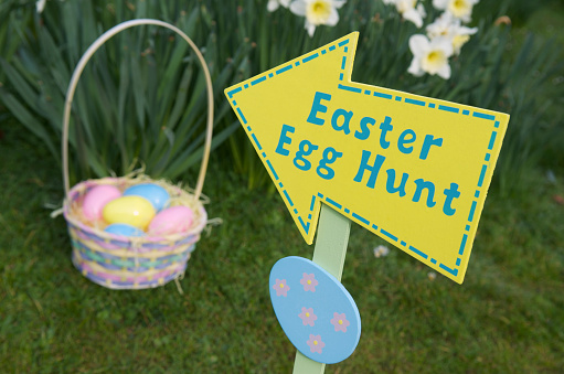 Easter Egg Hunt sign points to a bright basket in the flowers in a green spring field