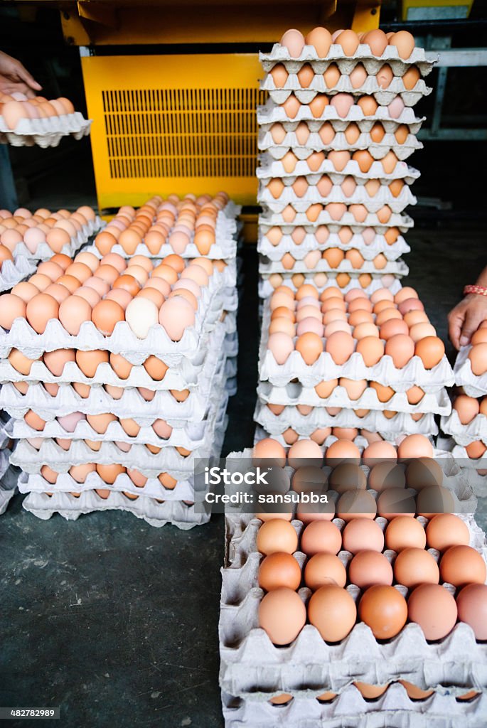 Fábrica de ovo - Foto de stock de Frete royalty-free