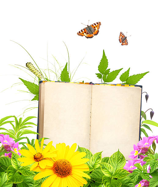 istock Book of nature 482783145