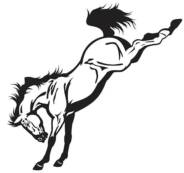 Vector illustration of bucking horse black white