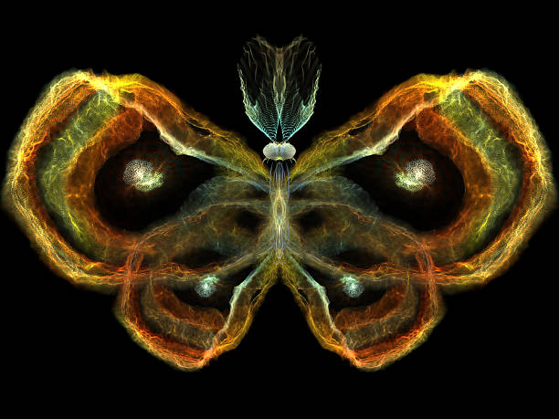 istock Elegance of Butterfly 482783913
